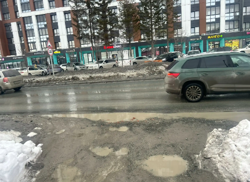 Фото Новосибирск превращается в «болото»: опубликованы кадры города после активного таяния снега 5 - Сиб.ФМ Фото Новосибирск превращается в «болото»: опубликованы кадры города после активного таяния снега 5